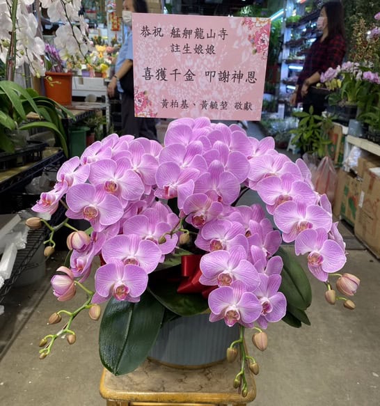 答謝艋舺龍山寺註生娘娘蘭花