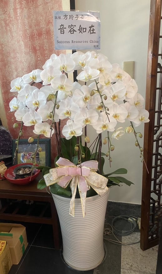 家宅靈堂蘭花