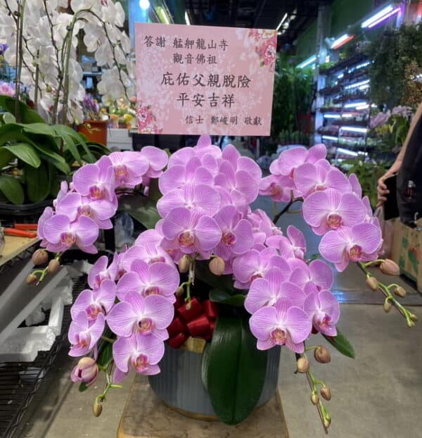 還願龍山寺觀世音菩薩蘭花