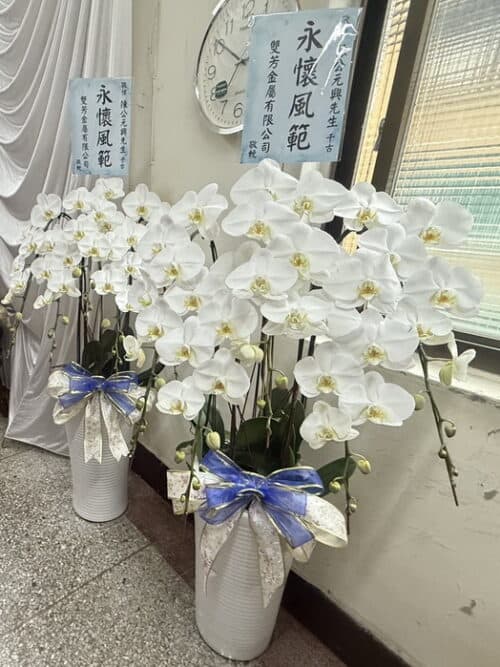 士林家宅靈堂蘭花 士林家宅靈堂蘭花