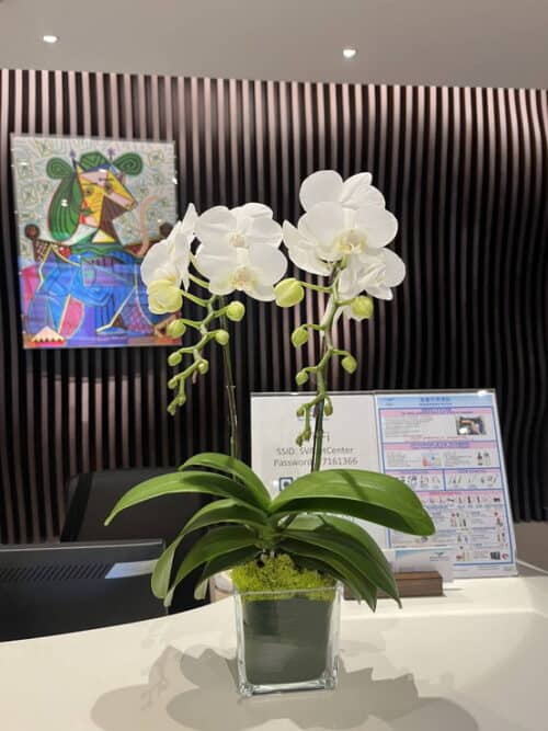機場大廳服務中心時尚蘭花 機場大廳服務中心時尚蘭花