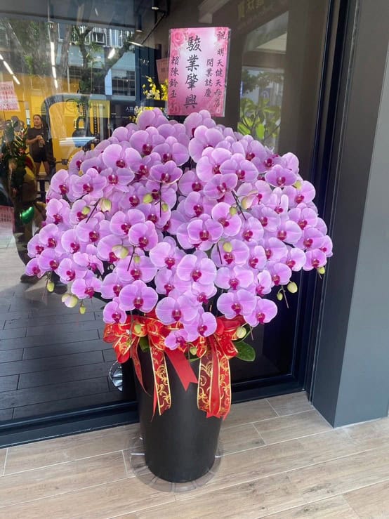 澎派開幕蘭花賀禮