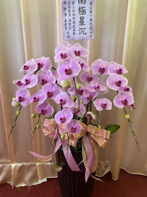 老先生靈堂蘭花 老先生靈堂蘭花