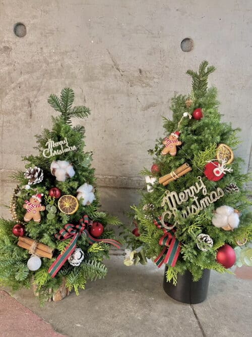 聖誕樹聖誕節交換禮物