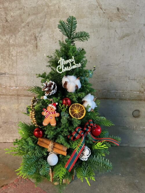 聖誕節聖誕樹交換禮物01 聖誕節聖誕樹交換禮物01