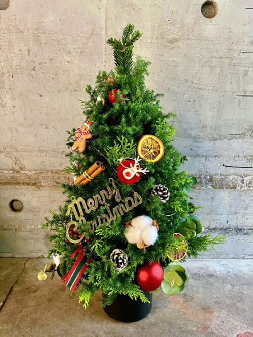 聖誕節交換禮物02 聖誕節交換禮物02