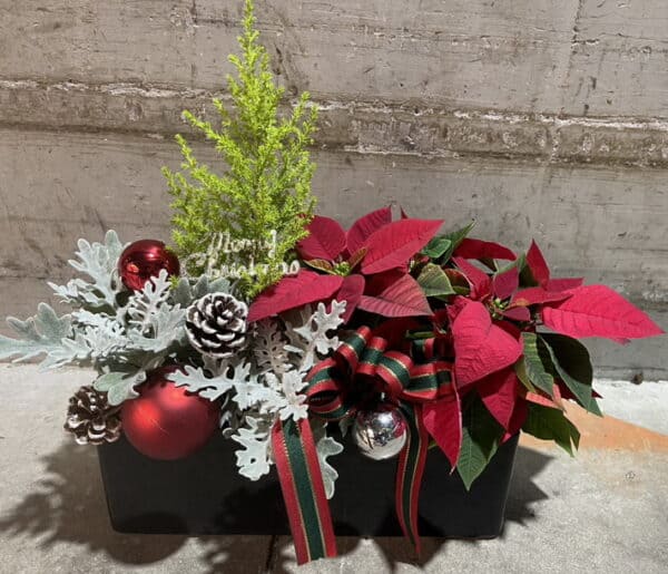 聖誕節小盆栽