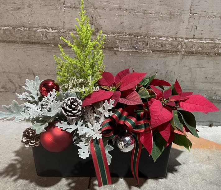 聖誕節小盆栽