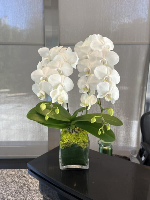 辦公桌時尚蘭花